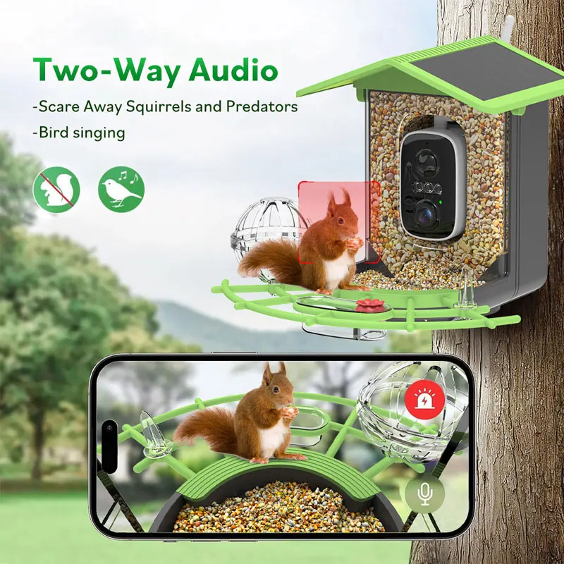 Bird feeder with camera - Smart camera with artificial intelligence to identify species, automatically record