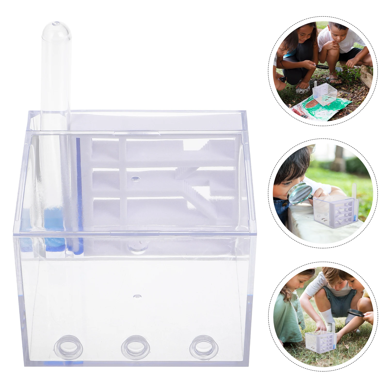 

Castle with Built-in Test Tube Nest for Observation Transparent Acrylic Habitat for Students