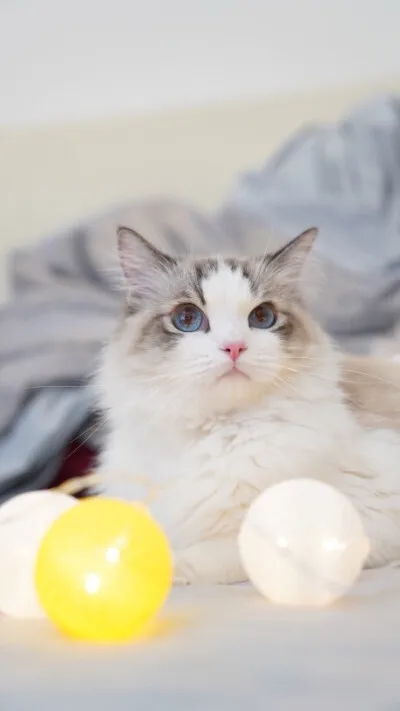 

Metal 2 Speed Shiftable Transmission Gearbox For Axial SCX10 & SCX10 II III 1/10 RC Crawler Car Upgrades Parts