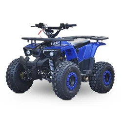 New Style Petrol 110cc 125cc 4 Stroke Chain Drive Four Wheeler Quad Bike ATV with CE for Sale