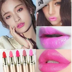 Matte Lipstick 24 hour Long Lasting Waterproof  Velvet Lipstick Pink Red Lipsticks Resistant Rose Lip Tint Cosmetic Women Makeup