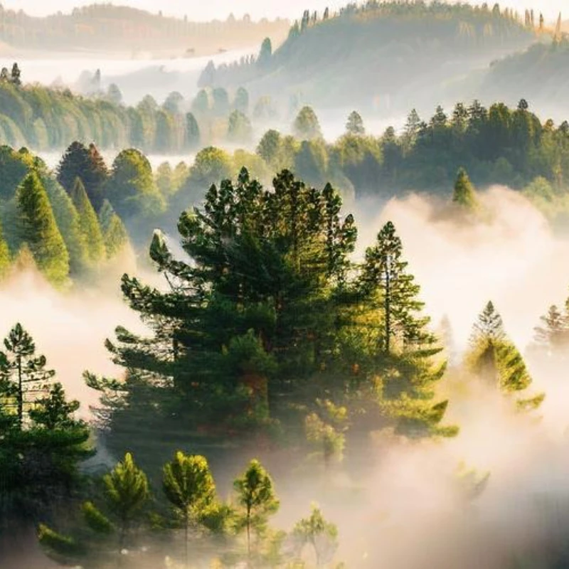 

IFlight Alpha A85 Whoop 85-мм рама FPV 2-дюймовый пропеллер с навесом для RC FPV дрона