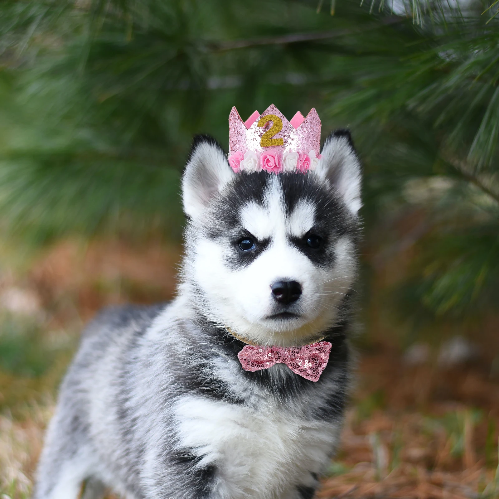

Felt Birthday Hat for Pets Dogs Party Supplies Multi Purpose Pet Birthday Gift Dog Costume Accessories Sweet