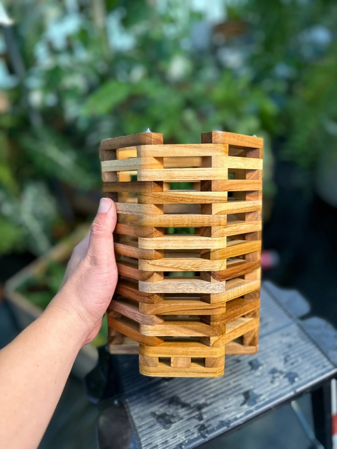 إطار خشبي أصيص زهور بوعاء، وعاء زهور بإطار، أوركيد، بانداي، قرش، وعاء زراعة