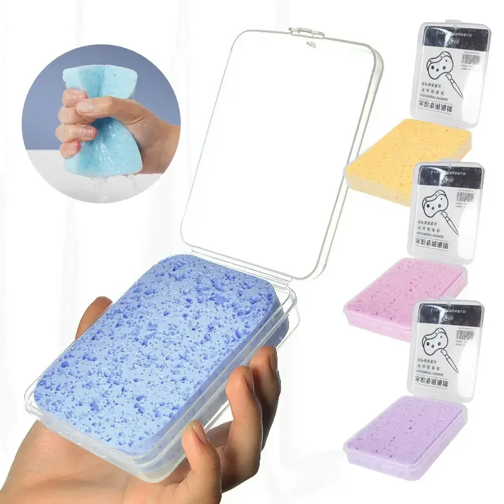 2/4 Pcs Watercolor Painting Sponge Boxed Moisturizing Special Water Chalk Sponge Strong Absorb Water Clean Tool Art Supplies