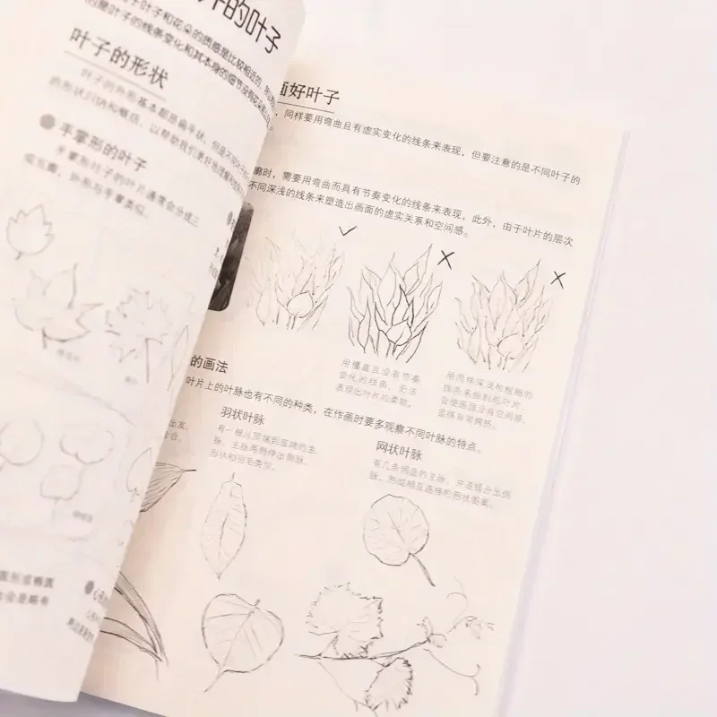 Sketching Beginner's Guide: A Comprehensive Tutorial for Beginners Artists