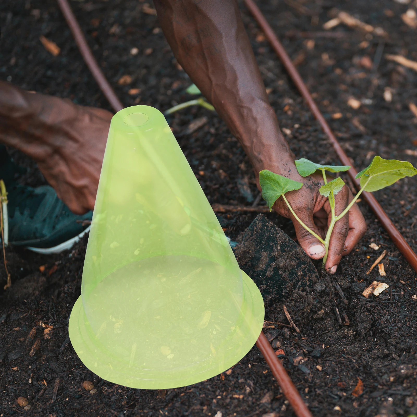 

12Pcs Plant Frost Protection Covers Reusable Plastic Plant Protectors Garden Cloches for Outdoor Frost