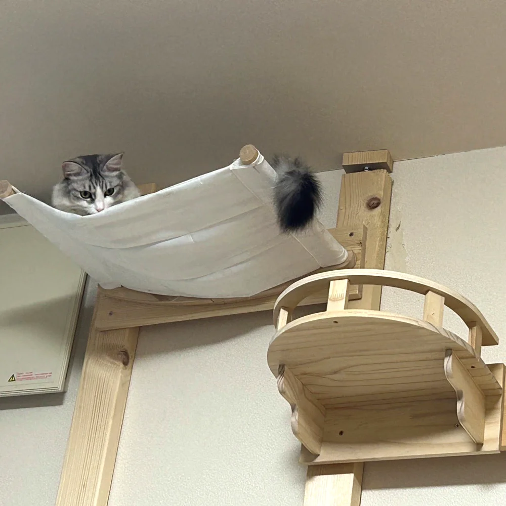 Полки для лазанья для кошек, настенные деревянные кошачьи деревья, окунь, когтеточка для кошек, гамак и дом для котенка, играющих в коготь, шлифовка