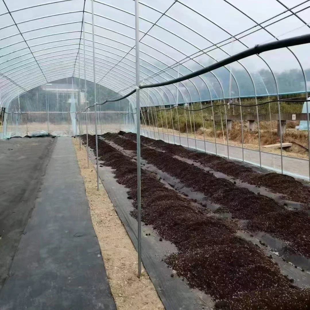 20258x30m Agriculture Tomato Greenhouse Frames Plastic Film Single Span Tunnel Greenhouses