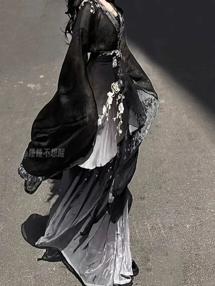 Southern And Northern Dynasties Style Qing Hanfu Heavy Industry Embroidery Waist Skirt Set Martial Arts Jianghu Dress