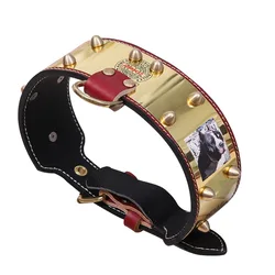 Dog Leather Collar First Layer Soft Cowhide Large and Medium Dog Collar Domineering Copper Armor Dog Collar