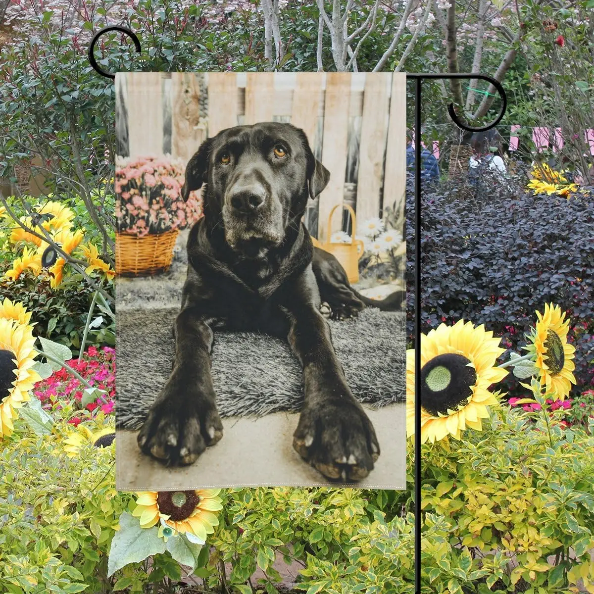 ALAZA Cute Portrait of Black Lab Dog Polyester Garden Flag House Banner 12 x 18 inch, Two Sided Welcome Yard Decoration Flag for