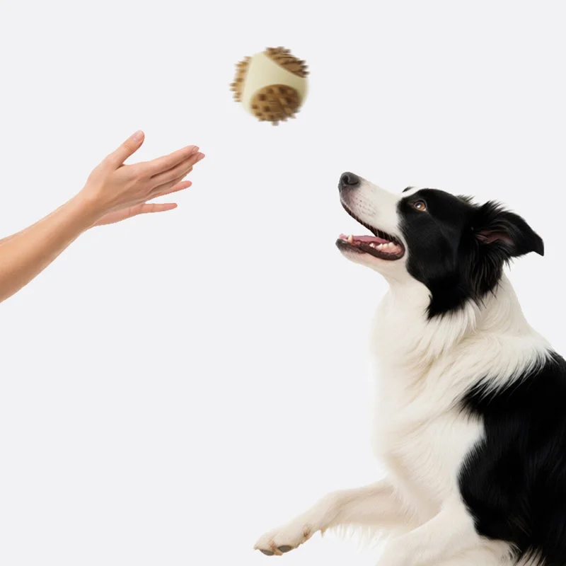 Juguetes masticables para perros dispensadores comida resistentes