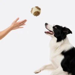 Juguetes masticables para perros dispensadores comida resistentes