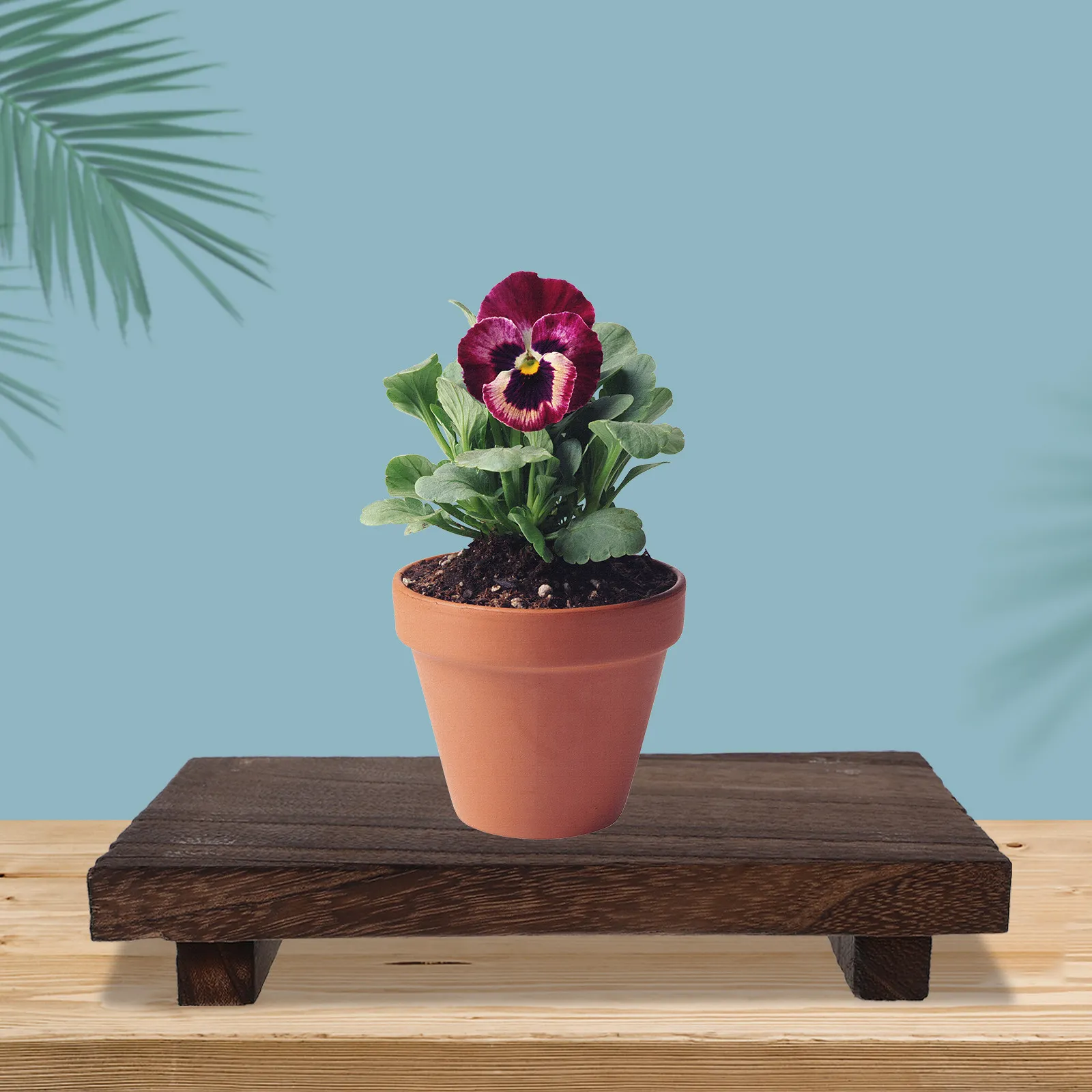 Succulent Flowerpot Stand Wooden Plant Holder for Indoor Outdoor Use Wide Application Potted Plants Display Rack Rustic Wood
