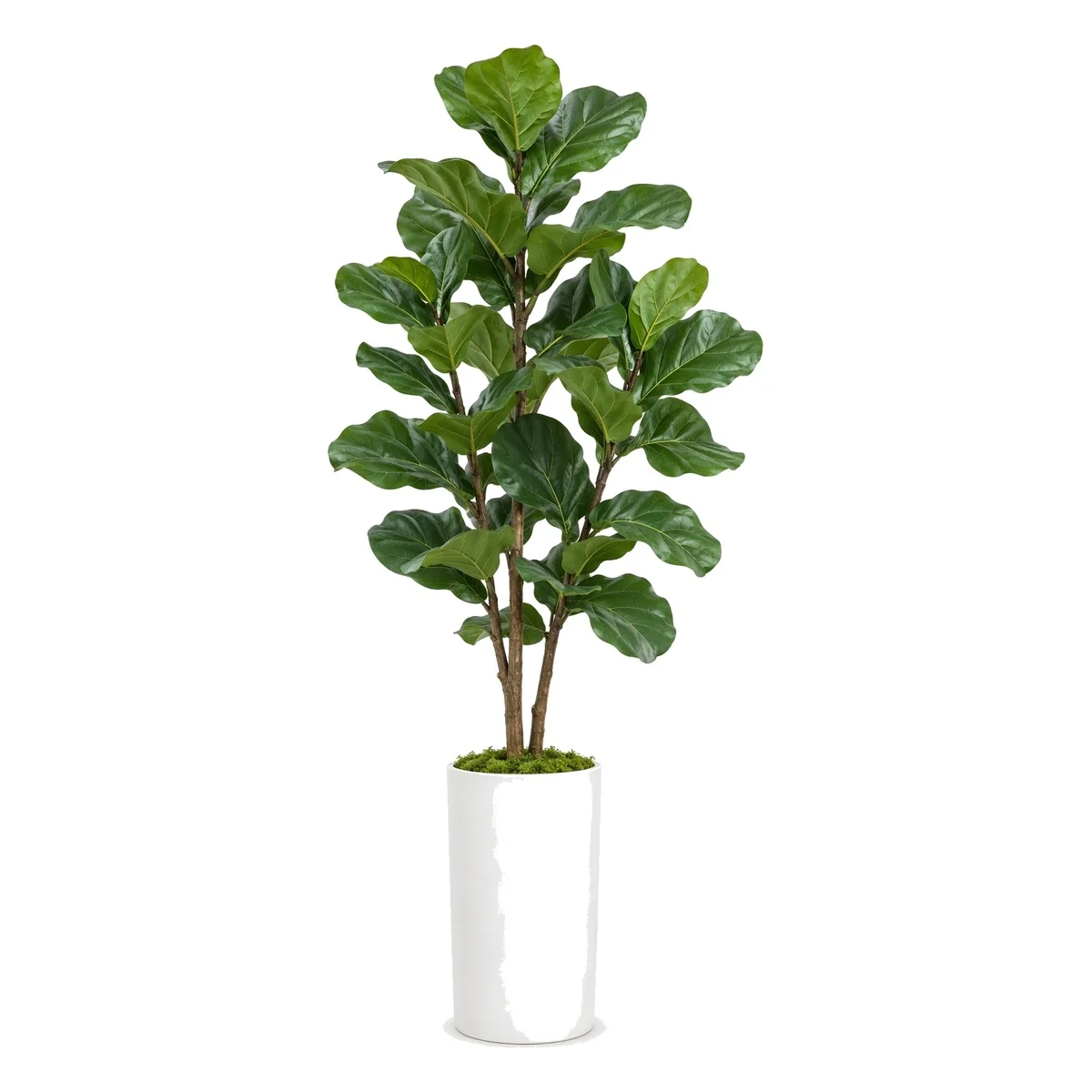 Artificial Ficus Tree 180cm Faux Fiddle Leaf Fig Lifelike Broad Leaves with Planter Indoor Outdoor Home Office Decor
