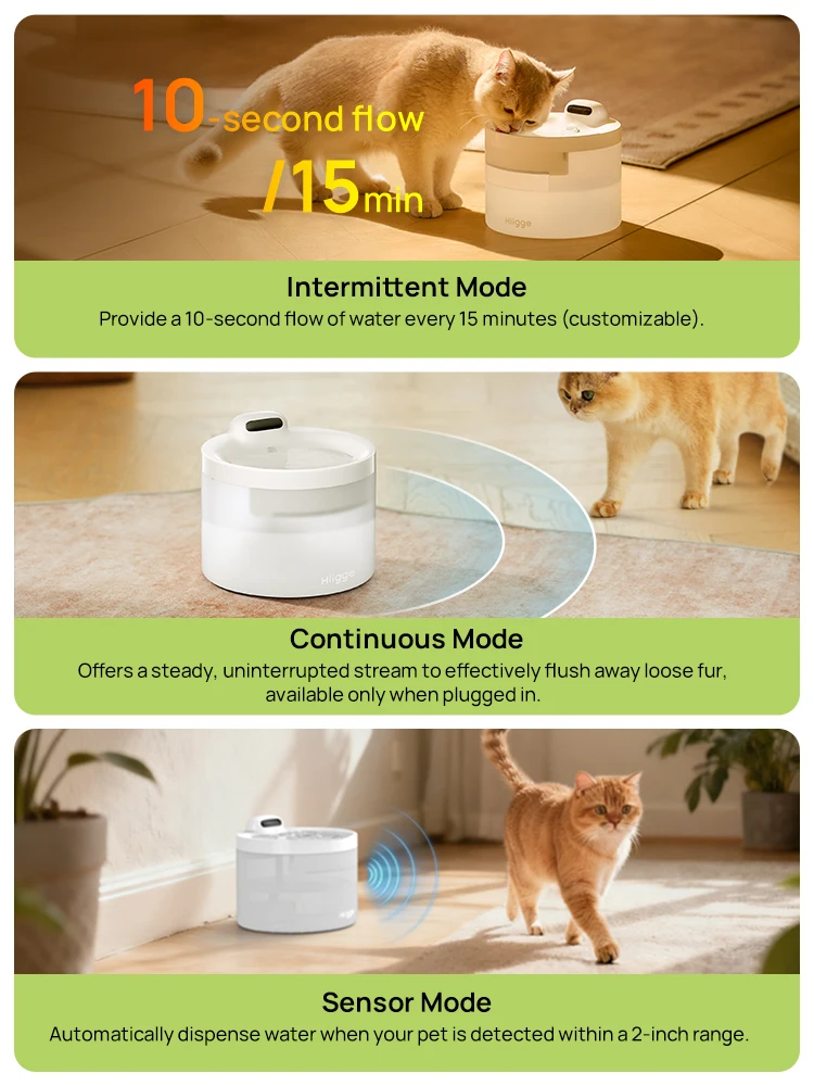 Thumbnail 4 - #46 Cheap Automatic Pet Water Dispensers Worth Buying