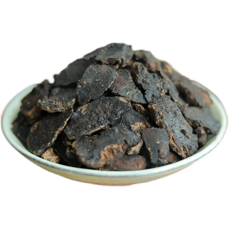 شرائح جذر رحمانيا