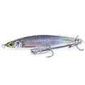 minnow