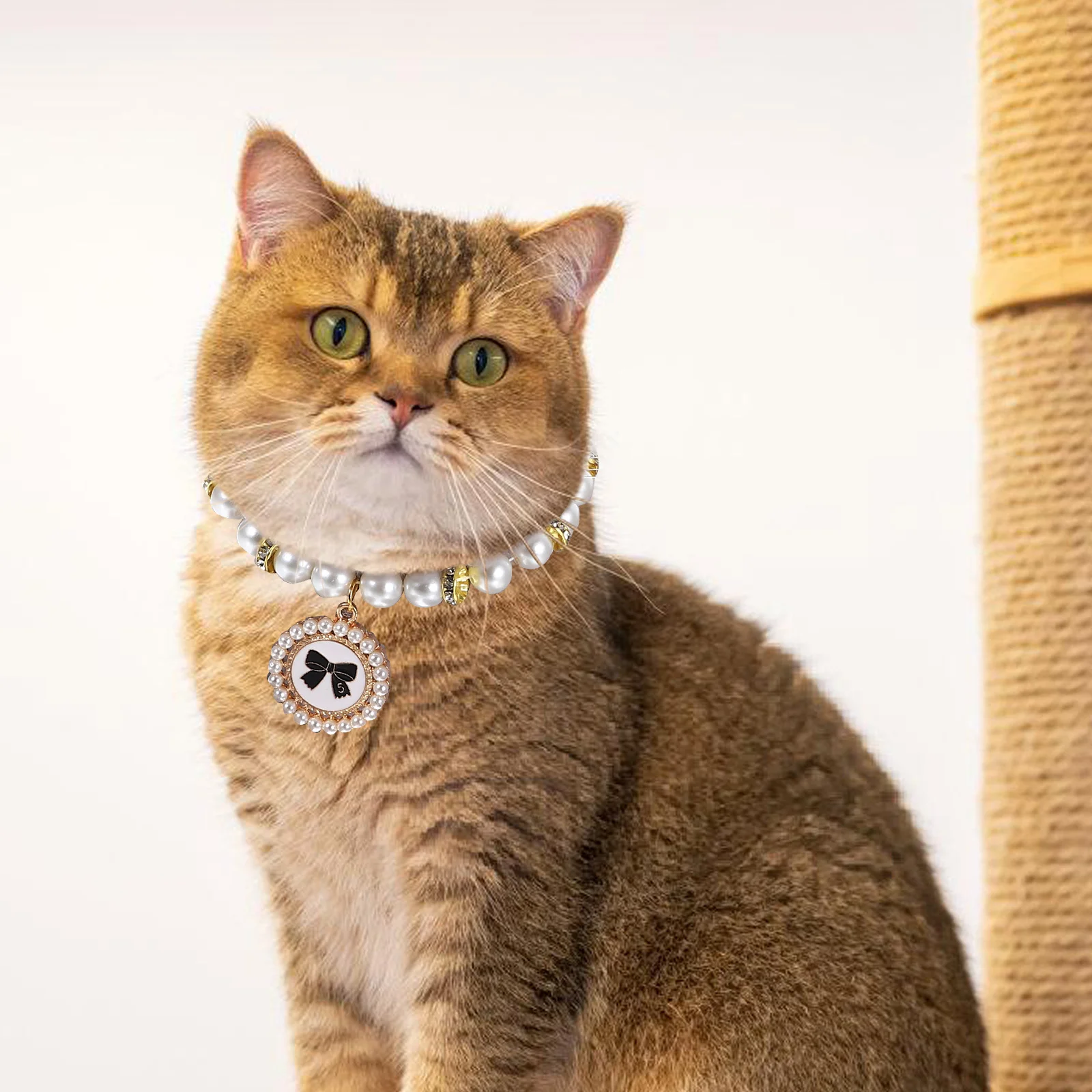 

Pet Necklace ABS Material Dog Cat Jewelry Chain Collar Bone Pendant Charm Fits Small Medium Pets Girls Pet Supplies Bows
