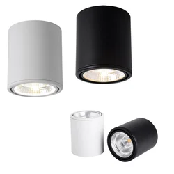 Surface mounted LED downlight Dimmable rotating COB ceiling light 7W9W12W15W18W20W24W Adjustable spot light AC85-260V