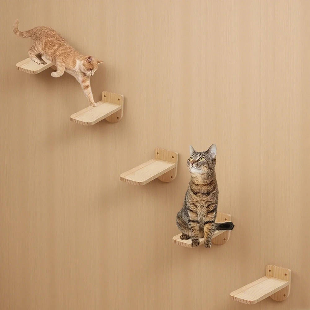 yZ[z5 s[XLǃt[eBOXebv͂KiVRؕǊ|ؐLƋNC~OIƎ~܂