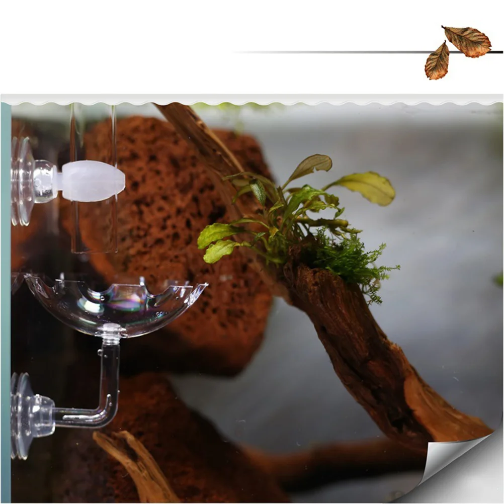 

Acrylic Shrimp Feeder Tube Tray Crystal Shrimp Feeder Holder for Planted Tank Easy Clean Feed Residue Suckers Hooks