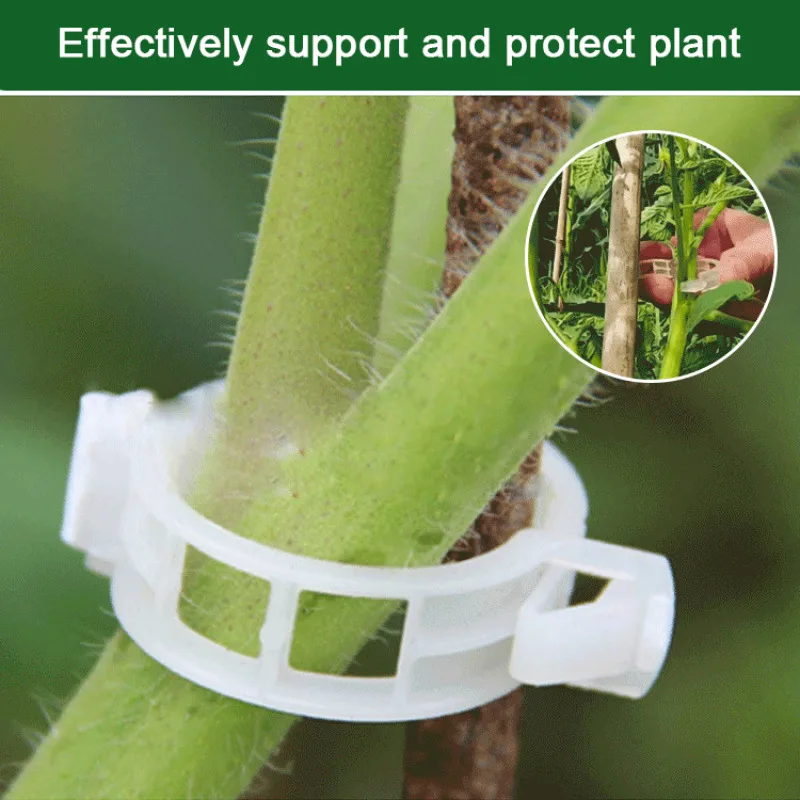 Plant Hanging Gripper Clips Fastener Flower Clip for Plant Vine Vegetables Flower Tied Bundle Branch Grafting Fixing Tool