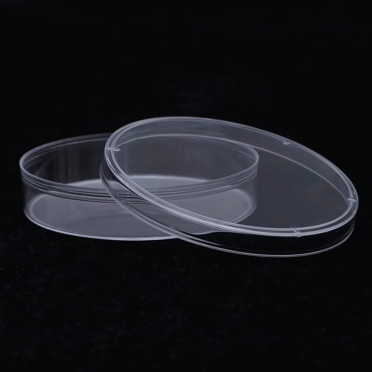 

10Pcs 70mm Plastic Petri Dishes Sterile Bacterial Culture Plate with Lid Lightweight Portable Plastic Petri Dish