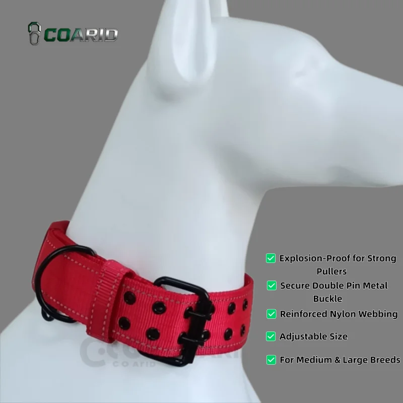 

Adjustable Metal Double Ring Pet Collar, Nylon Dog Collar for Small Medium Dogs, Red Pet Training Collar for Outdoor Walking