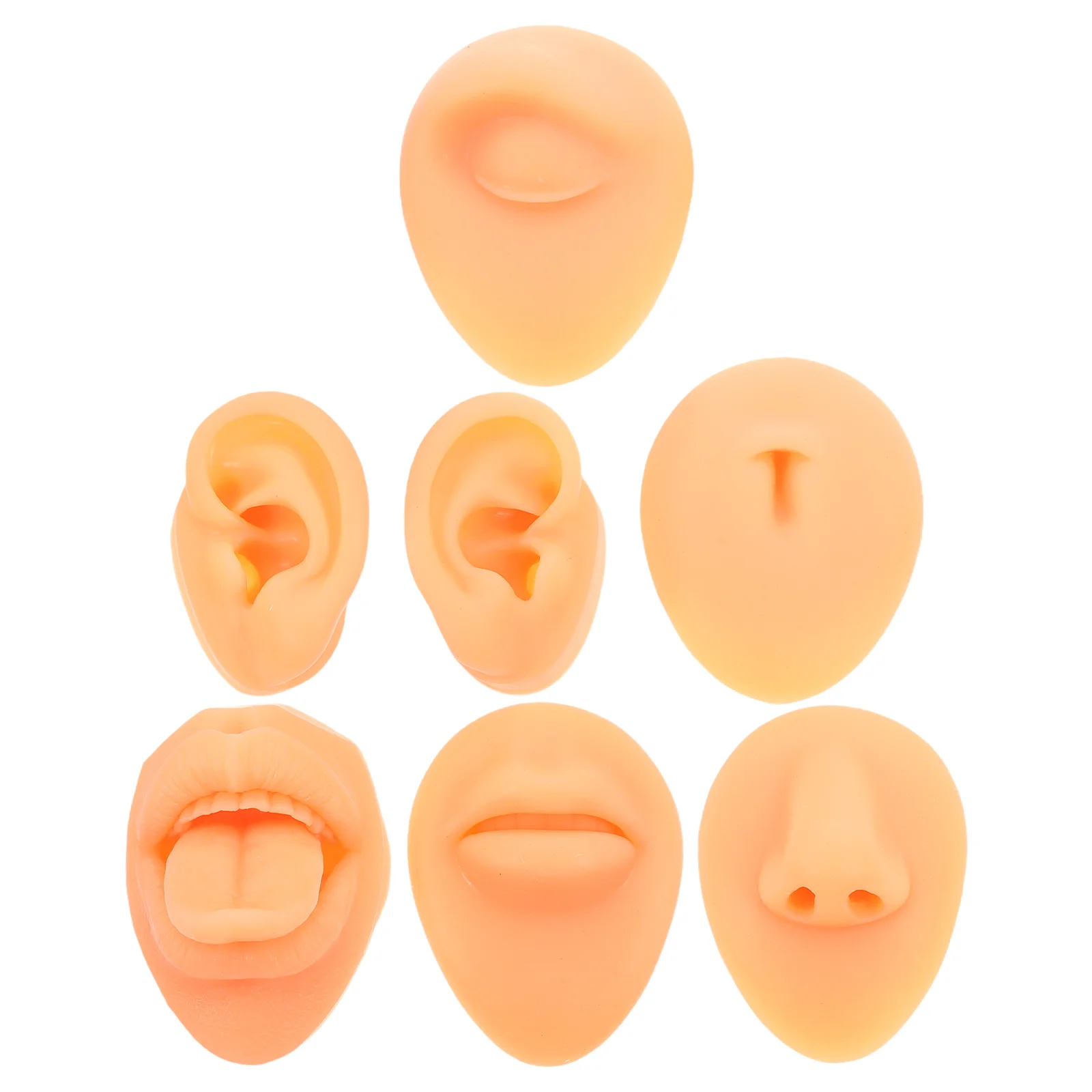 

Simulated Perforation Model Fake Ears Silicone Body Parts Artificial Tongue Piercing Practice Mold