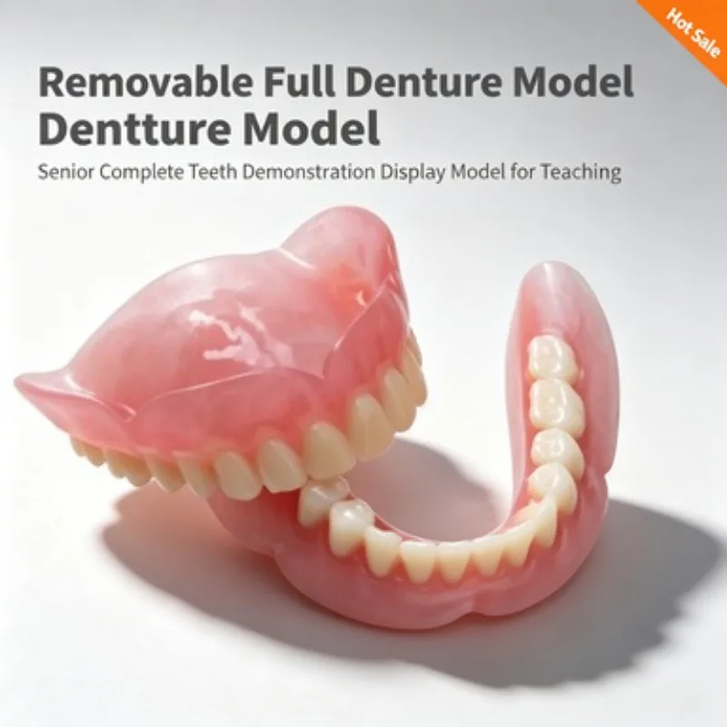 modello-di-dentiera-completa-rimovibile-modello-dimostrativo-di-dentatura-completa-per-anziani-per-l'insegnamento