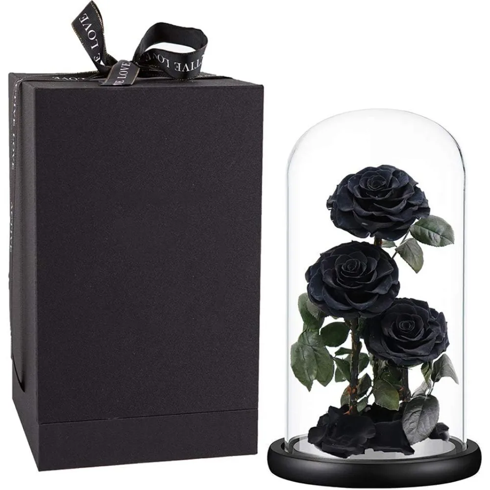 

Preserved Roses Handmade Preserved Real Rose in Glass Dome, Black Roses Never Withered Gifts for Her, Valentine's Day