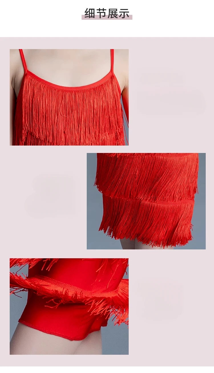 

Kids Girls Samba Latin Dance Dress Competition Ballroom Dancing Salsa Tango Fringe Tassel Standard Practice Costume Child Suit