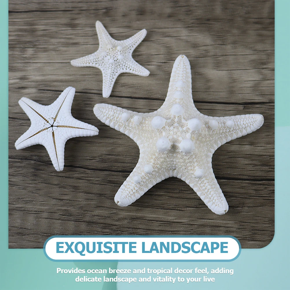 

12 pcs Decorations Natural Ornaments For Crafts Decorative Ocean Beach Party Wedding Diy Decoration Sea Star Decor Knobby Pencil