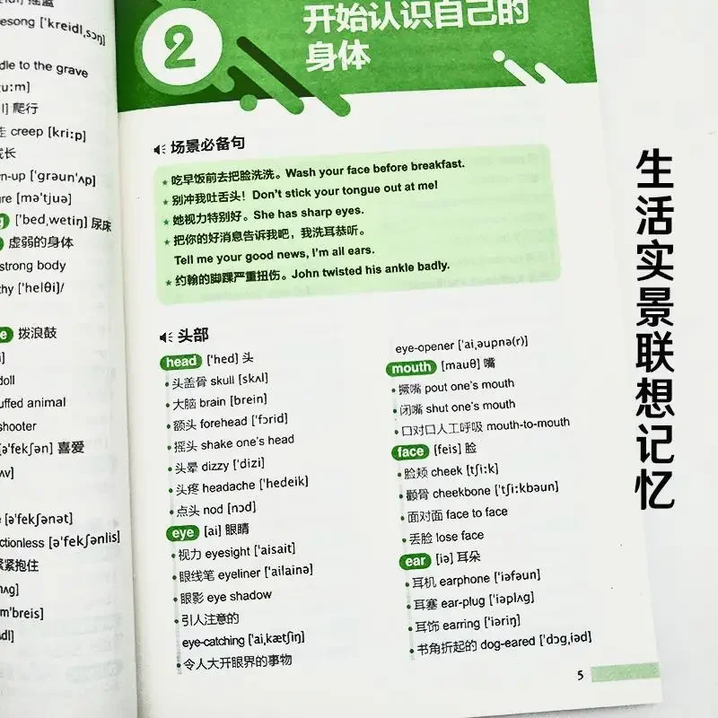 15000 English Words Easily Memorized Zero Basic Textbooks Learn English From Scratch Books Spoken English Textbooks Libros Livro