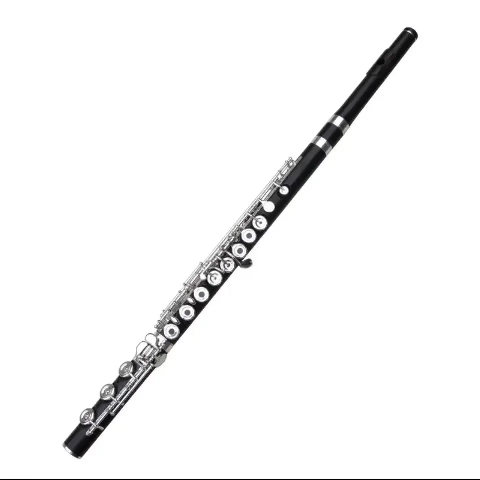 

Hooqu Professional Wood Flute Cheap Price Ebody Wood Flute for Professional Player