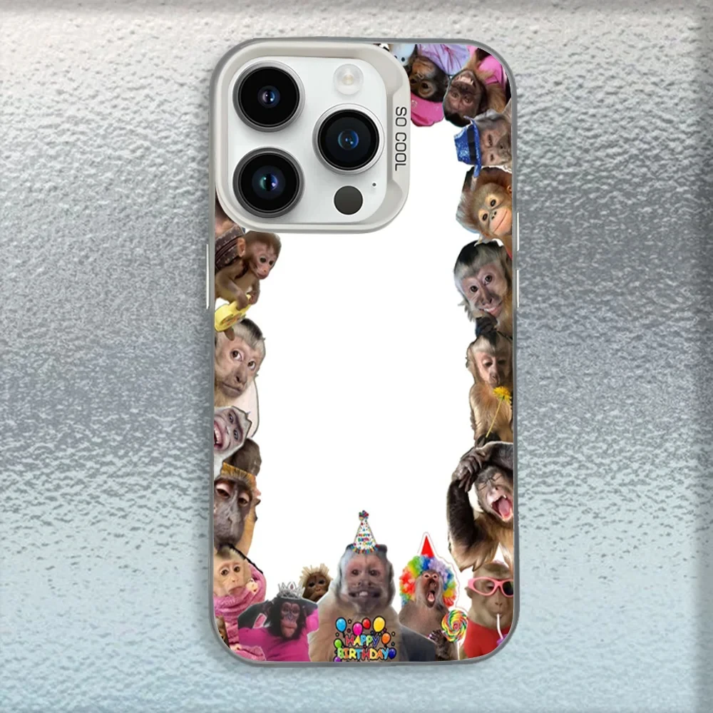 Cute Funny Monkey Phone Case For iPhone 16,15,14,13,12,11,Mini,Pro,MAX White Matte Shockproof Cover - náhled 5