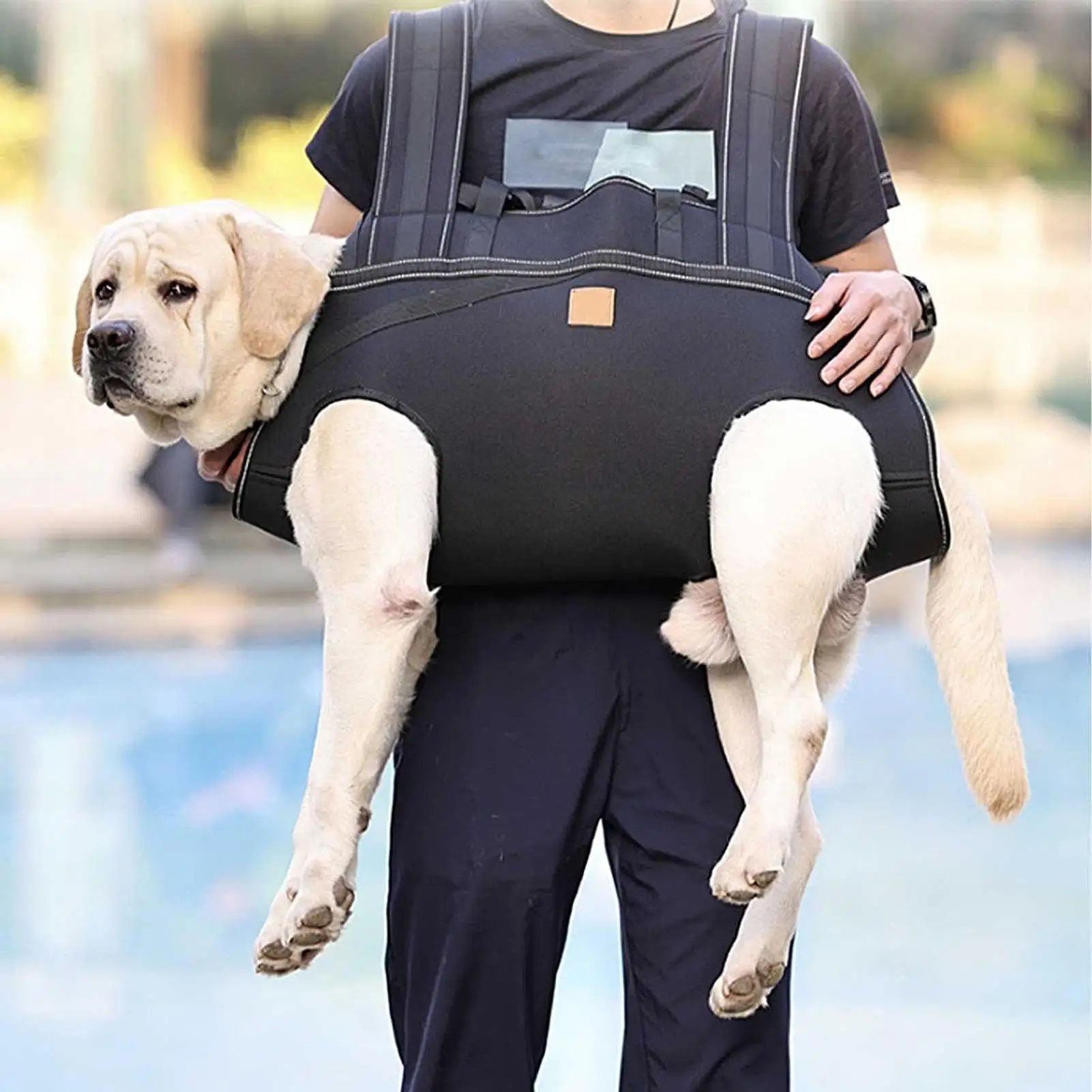 Подъемный ремень для собак, поддерживающий бедро, дышащий регулируемый ремень для мобильности, ежедневный ходьба, движение, помощь в уходе пожилым людям