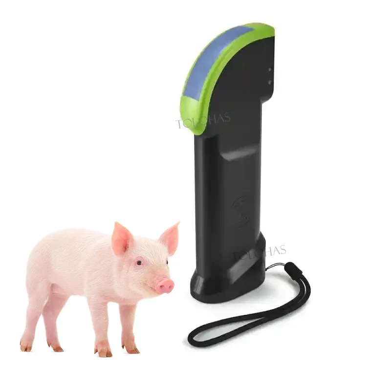 LHWS4 Veterinary Wireless USG Machine Vet Ultrasound Probe  Diagnosis Of Sows Sheep Goats