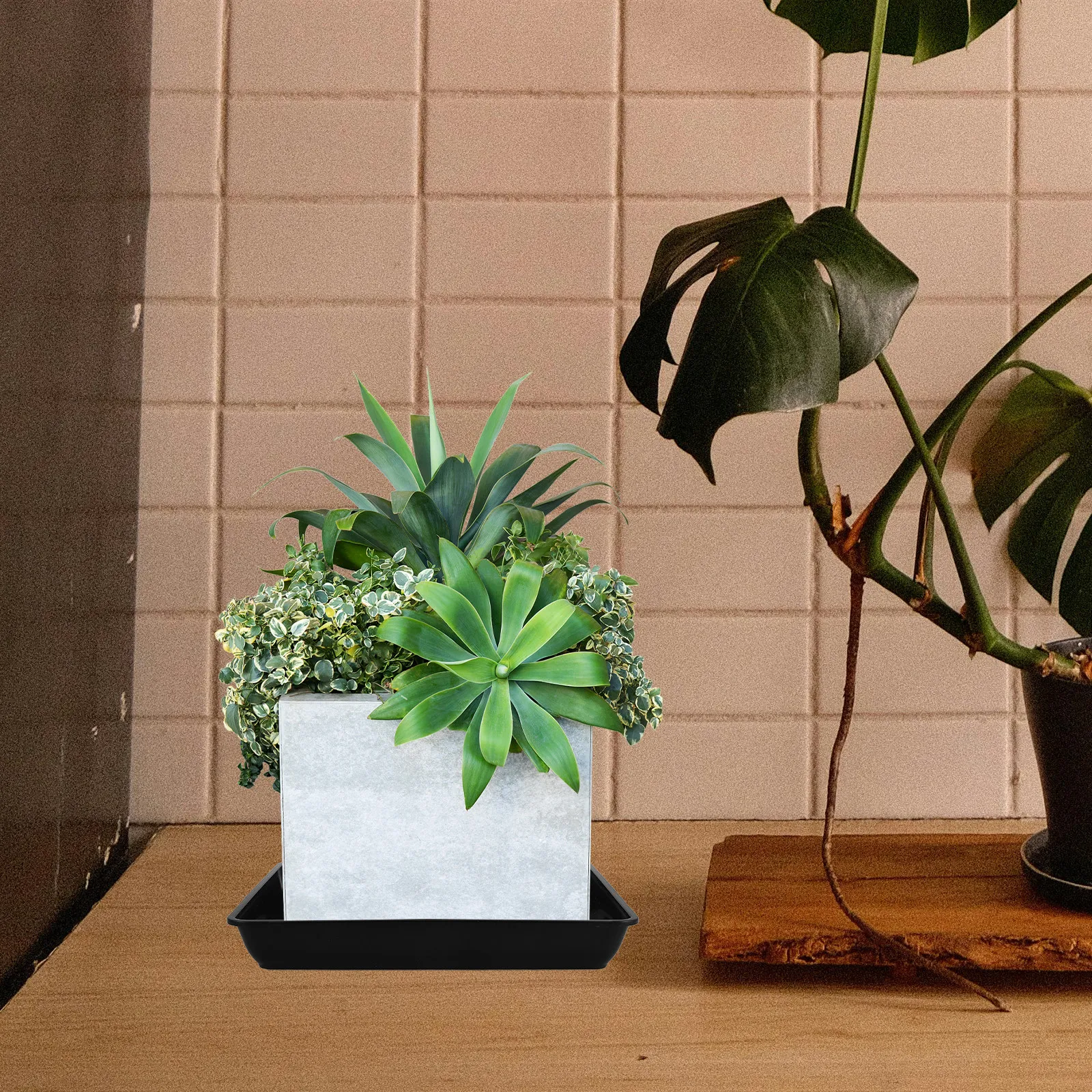 

Набор из 6 квадратных пластиковых поддонов для растений, черные, для использования в помещении и на улице, для сбора воды, для бонсай и орхидей