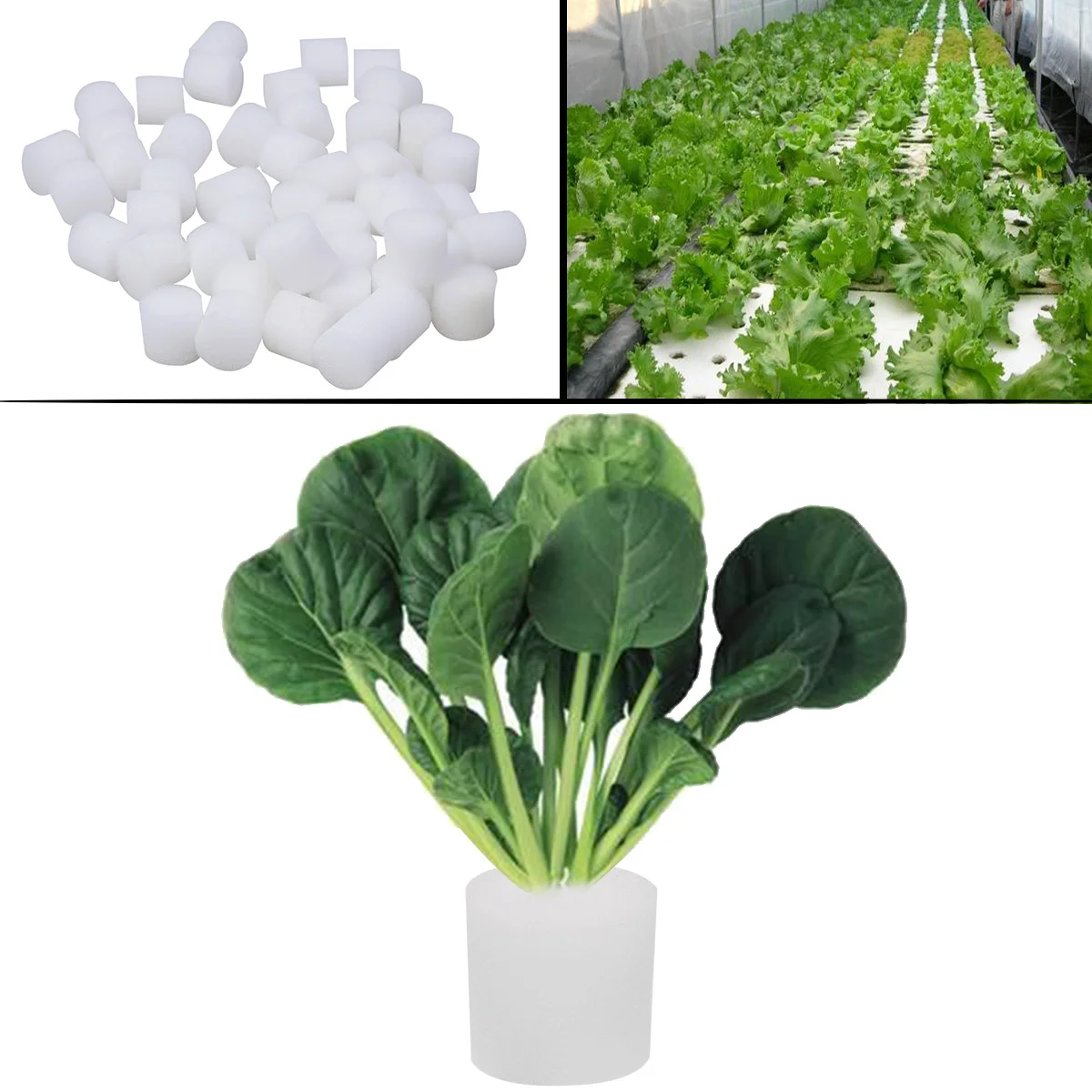 

50Pcs Soilless Cultivation Hydroponic Sponge Seedling Blocks Vegetables Planting Gardening Tools Greenhouse Vegetable Base