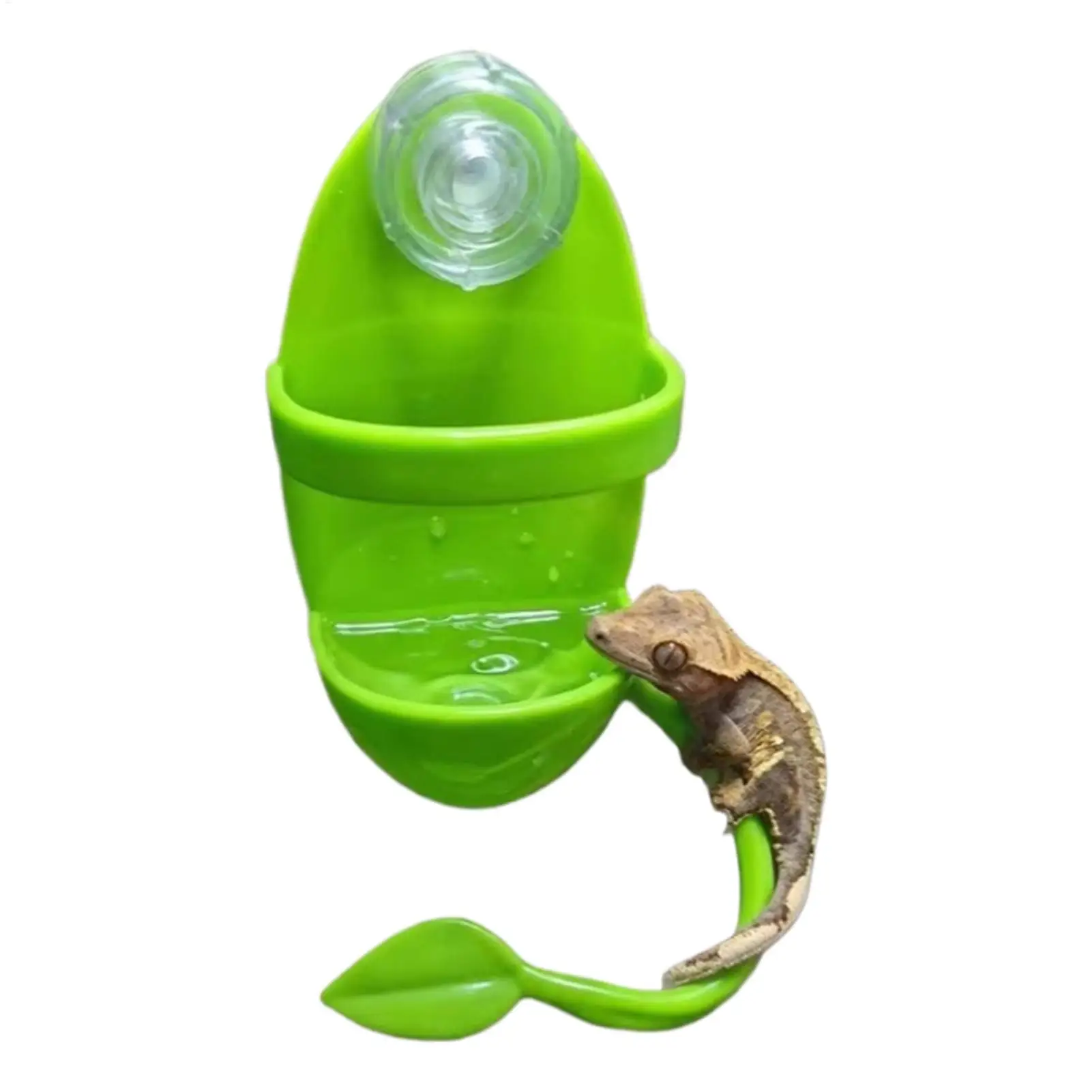 #11 Best Selling Pet Habitat Decors