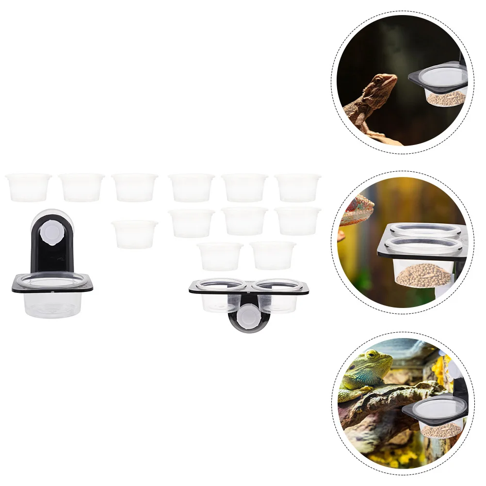 2 مجموعة مغذيات الزواحف 2 مجموعات السحلية الغذاء الحاويات الزحف تغذية الحيوانات الأليفة أداة وعاء الماء ل أبو بريص السلاحف العنكبوت الزواحف