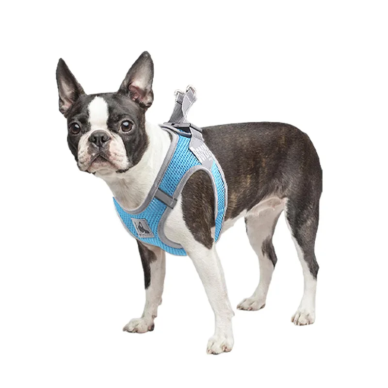 Reflecterende Hondentuigriem Set Voor Kleine Honden Verstelbaar Puppy Kattentuigvest Franse Bulldog Buiten Lopende Loden Riem