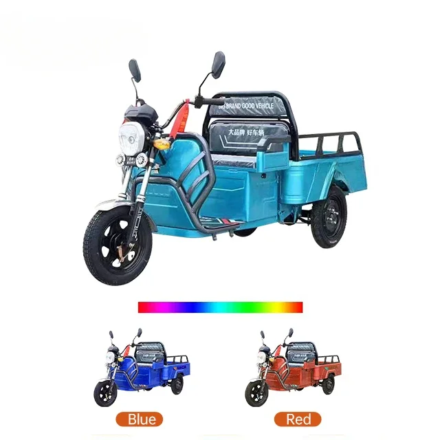 Popular Three-wheeled Electric Motorcycle Speed 600w Carbon Steel Motor Electric Three-wheeled Recreational Vehicle