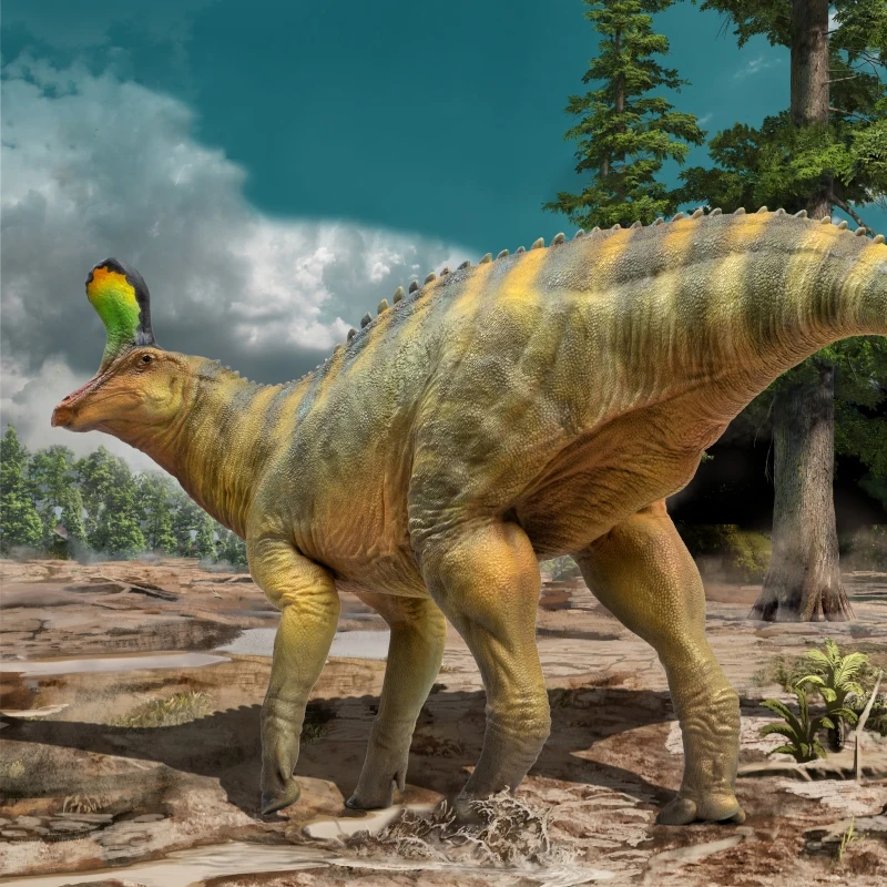 

New Qingdao Longxiaoqin Dinosaur Museum 1:35 Science and Art Model Handmade Toy Desktop Ornament Collection Festival Gift