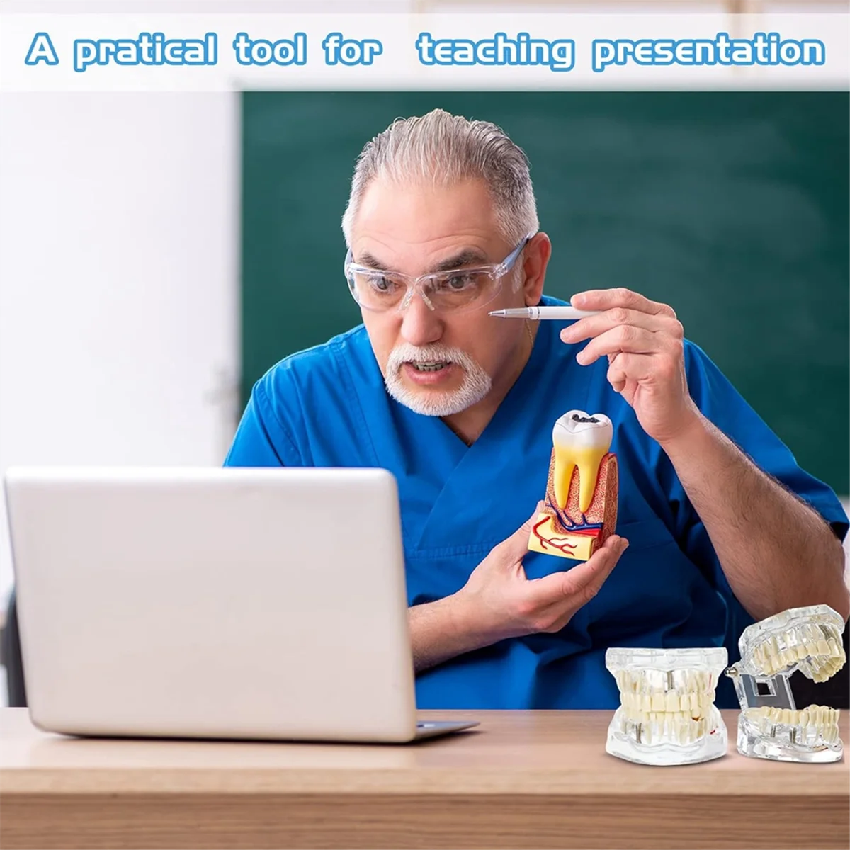 Teeth Model Disease Teeth Model Dental Typodonts Implant Teeth Model with Removable Teeth Dentist Standard Tooth Demonstration