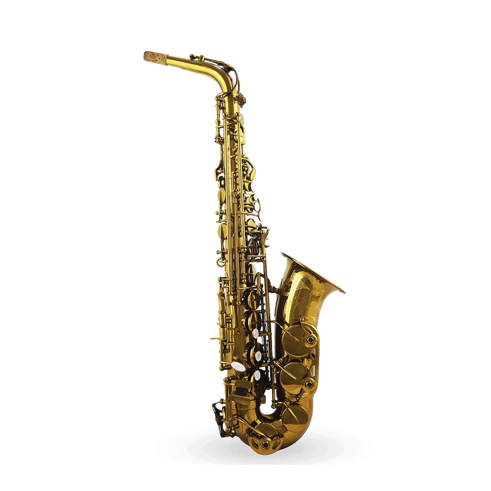 SEASOUND OEM Professional Champagne Color Alto Saxophone JYAS102CP