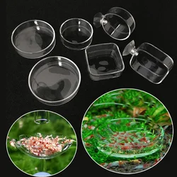 Aquarium Feeder Clear Glass Shrimp Feeding Food Dish Tray Round Container Fish Tank Feeding Bowls Tropical Fish Ratfish